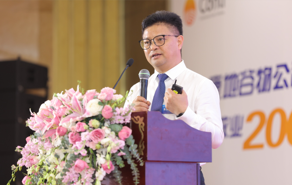 1702974050821266.png 24.png